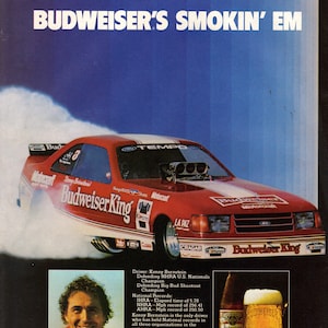 Vintage 1984 Budweiser Beer Print Ad