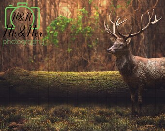 Baby Giraffe Von Wald Log Digitaler Hintergrund Digitale Etsy