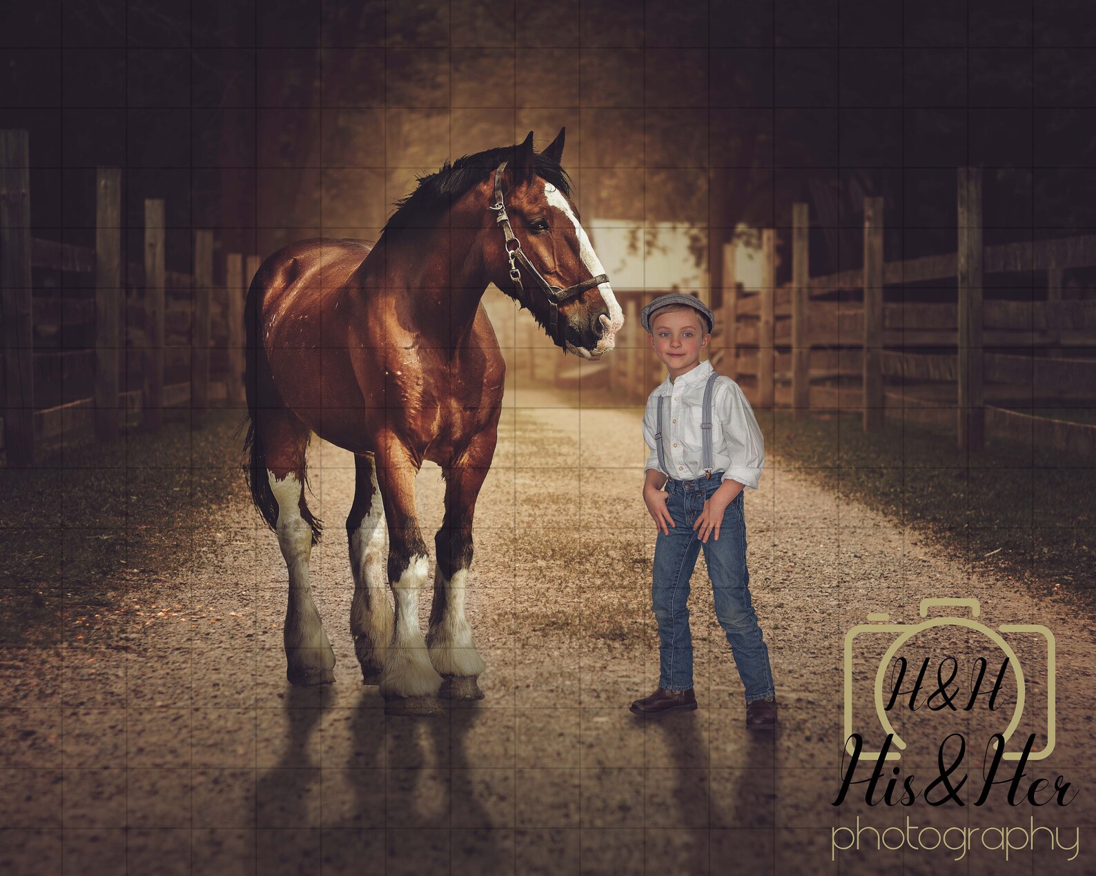 Vintage Horse Digital Background Digital Backdrop Digital - Etsy