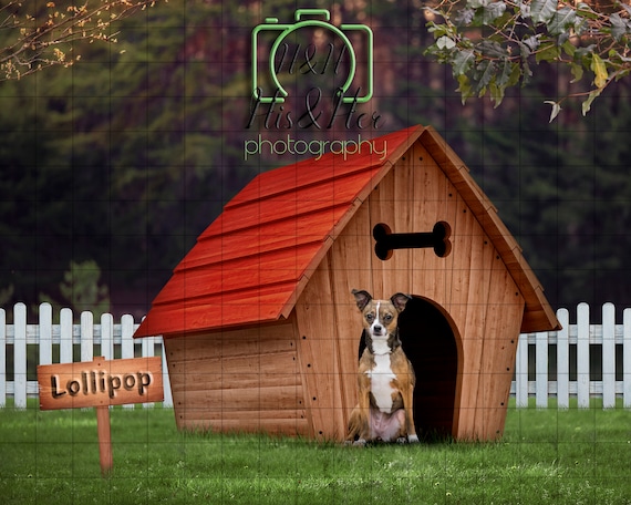 Dog House With Name Sign Pet Digital Background Digital - Etsy Norway