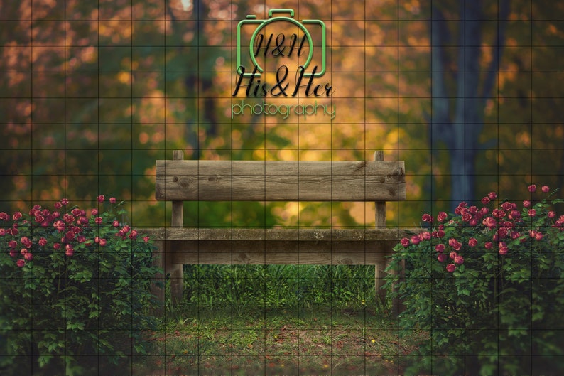 Forest Park Bench Digital Background Digital Backdrop Etsy