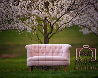 Couch In Cherry Blossoms, 2, Digital Background, Digital Backdrop, Digital Download, Photoshop Background, Add Your Own Subject