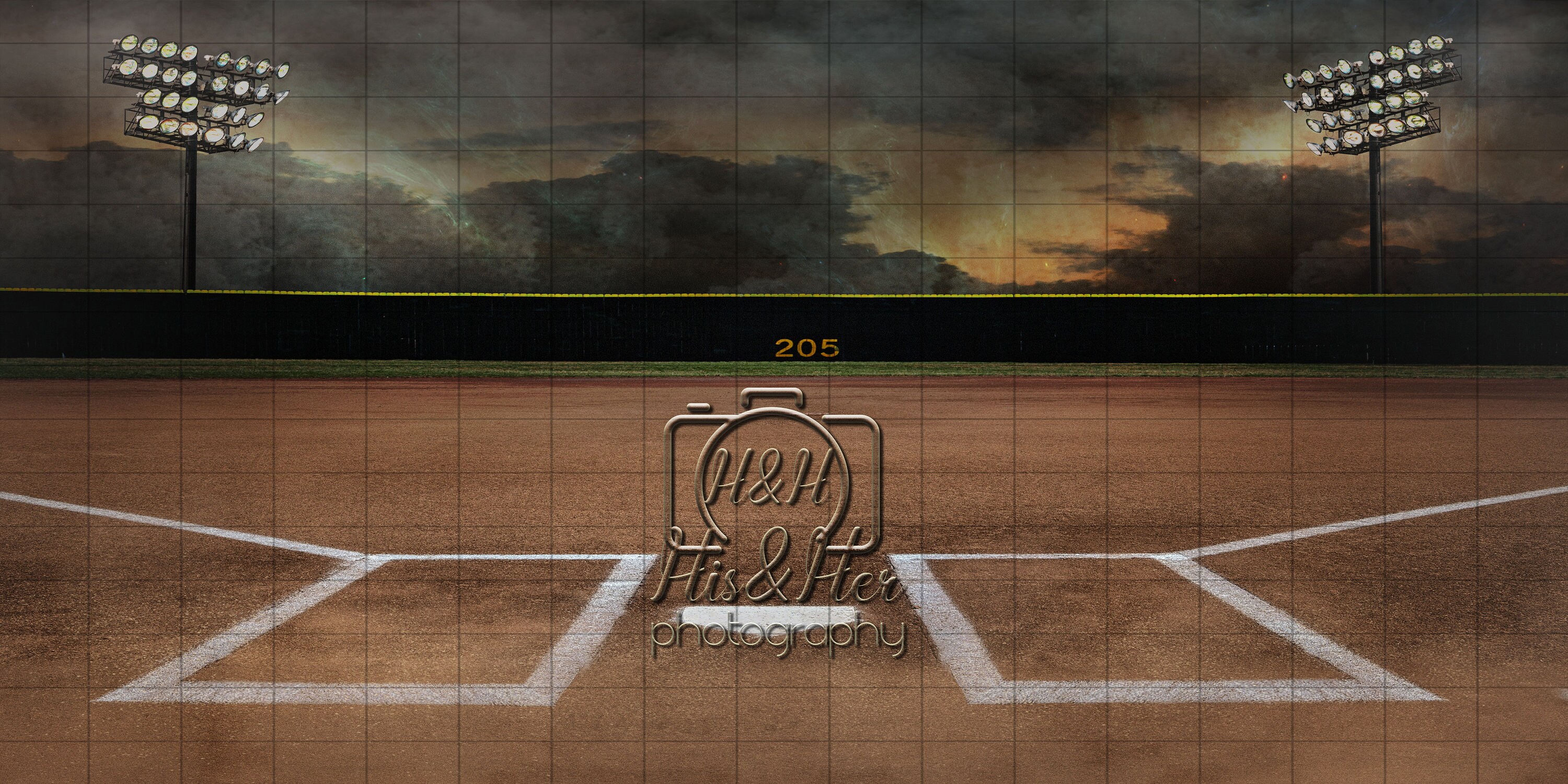 Baseball Field and Fence 2x4ft Banner Custom Without Fence Etsy