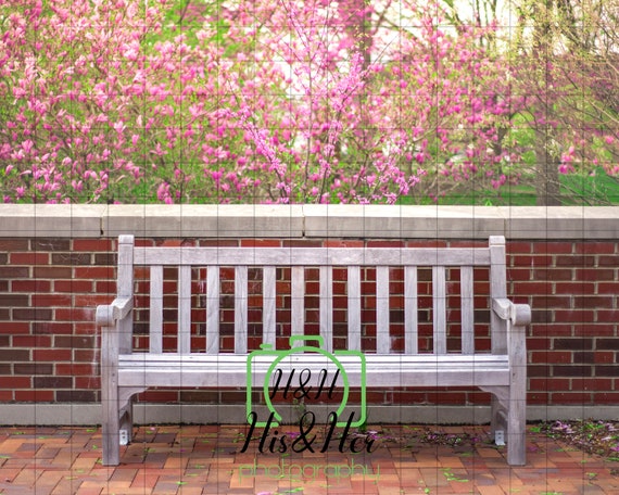 Spring Park Bench Digital Background Digital Backdrop Etsy