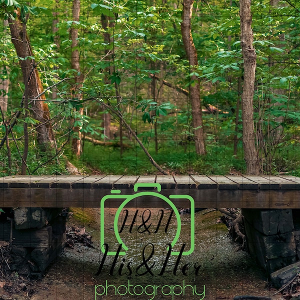 Forest Bridge,  Digital Background, Digital Backdrop, Digital Download, Photoshop Background, Add Your Own Subject