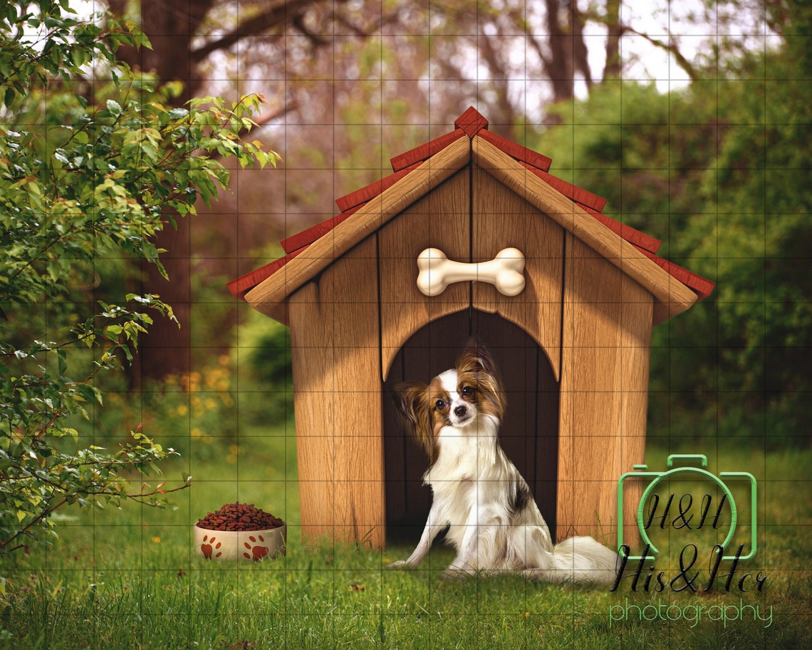 Dog Box With Transparent Dog Box Door Pet Portrait Digital Etsy