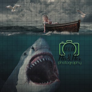 Shark Attack - Download