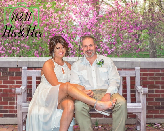 Spring Park Bench Digital Background Digital Backdrop Etsy