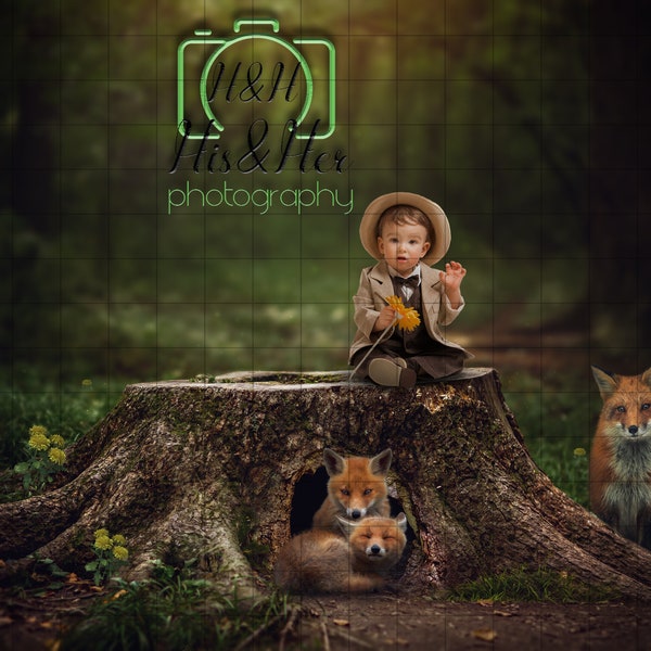 The Fox Den, Digital Background, Digital Backdrop, Digital Download, Photoshop Background, Add Your Own Subject