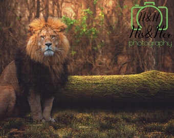 Lion, Log, Forest, Digital Background, Digital Backdrop, Digital Composite, Photoshop Composite, Add Your Own Subject