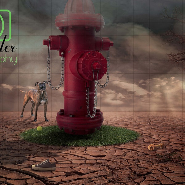 Dog Desert Fire Hydrant, Digital Background, Digital Backdrop, Digital Download, Photoshop Background, Add Your Own Subject