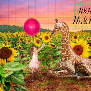 Giraffe In Sun Flower Field, Digital Background, Digital Backdrop, Digital Download, Photoshop Background