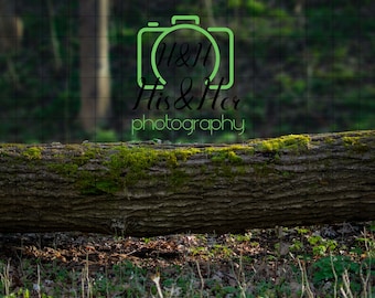 Forest Log, Digital Background, Digital Backdrop, Digital Download, Photoshop Background, Add Your Own Subject