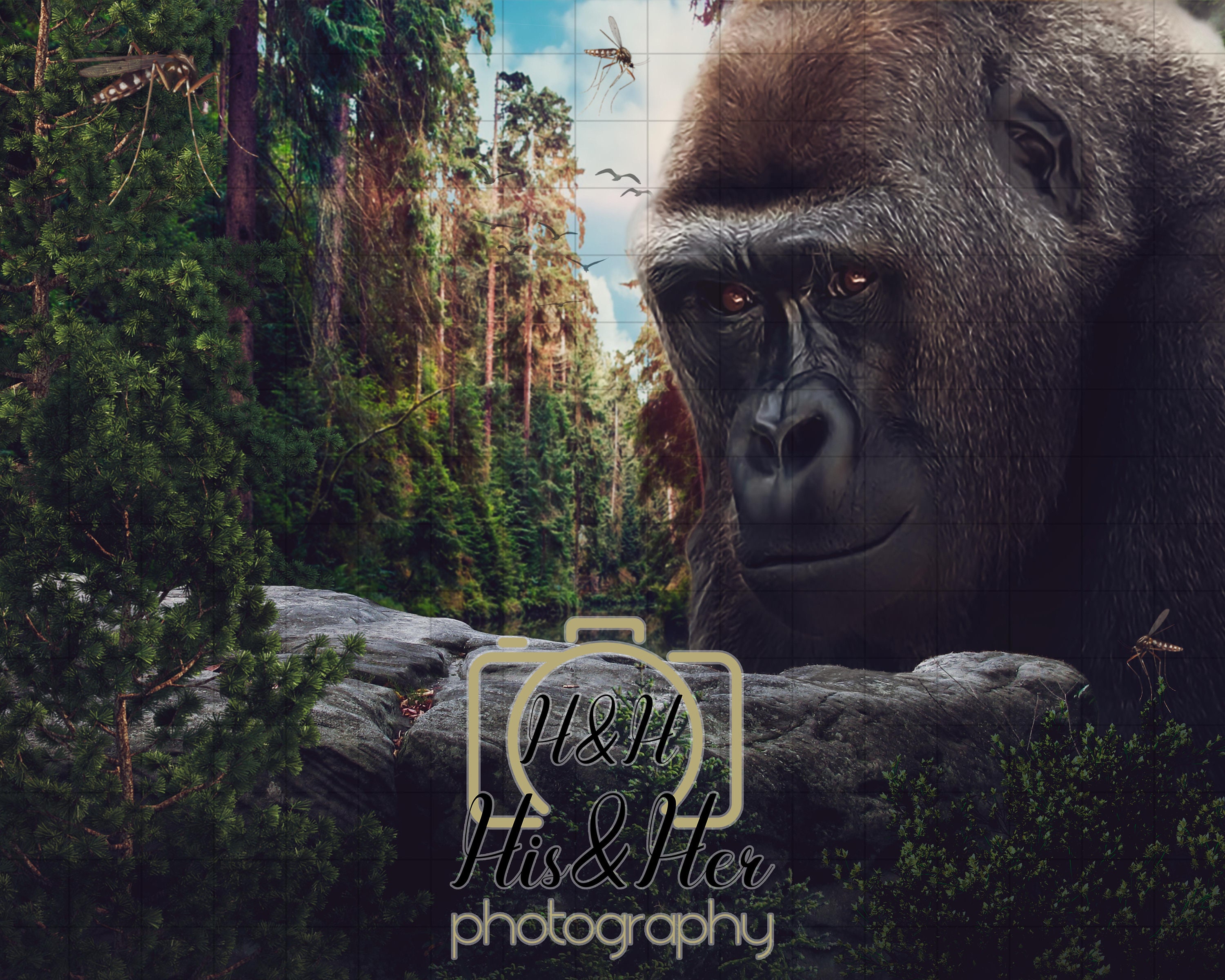 King Kong With Rock Cliff Digital Background Digital - Etsy