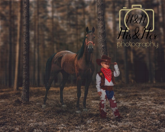 Horse In Forest, Digital Background, Digital Backdrop, Digital Overlay, Digital Download, Photoshop Background, Add Your Own Subject