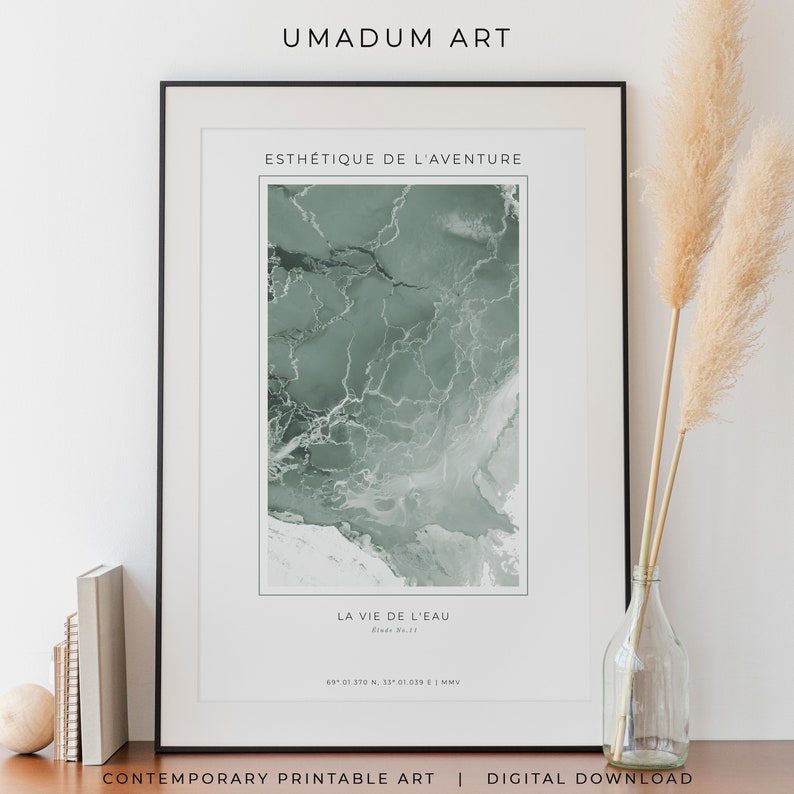 May include: A framed print with a green abstract design and the text "Esthetique de l'Aventure" and "La Vie de l'Eau" in French. The print also includes the coordinates "69.01 370 N. 35.01.039 E | MMV".