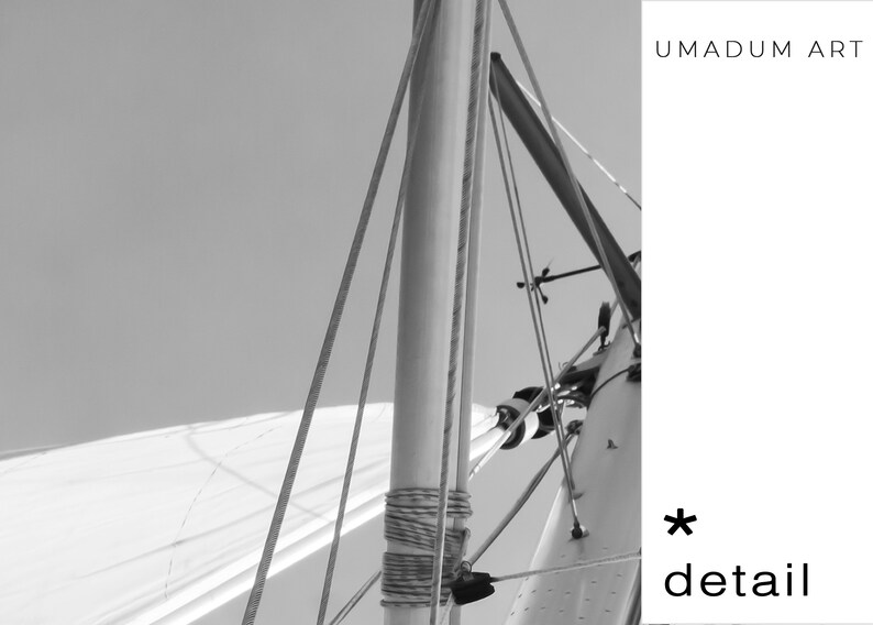 May include: A close-up of a sailboat mast with ropes and rigging. The mast is made of wood and is painted white. The ropes are made of nylon and are tied to the mast. The rigging is made of metal and is attached to the mast. The image is in black and white.
