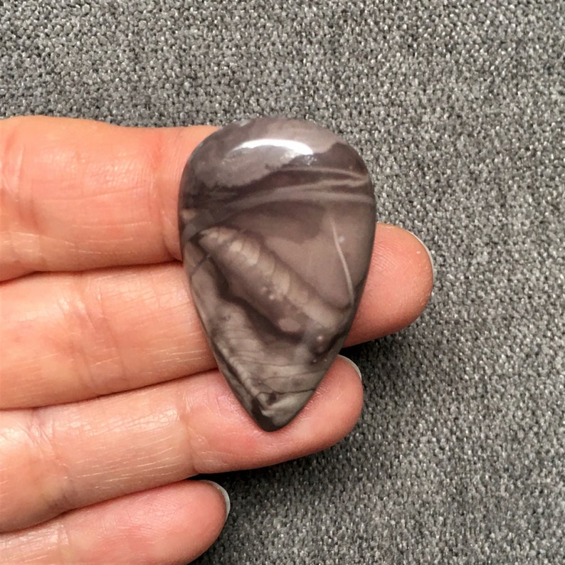Willow Creek Picture Jasper Cabochon ~40mm