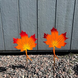 May include: Two metal maple leaf garden stakes. The leaves are painted with a gradient of orange and red, with yellow veins. The stakes are placed in a bed of small rocks, with a gray wooden background.