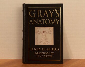 Gray%27s Anatomy 42nd Edition Gray%27s Anatomy 42nd Edition