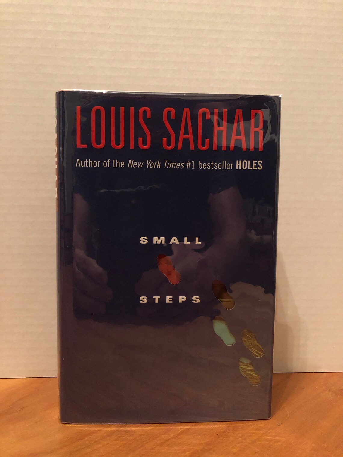 Small Steps sequel to Holes by LOUIS SACHAR First Edition Etsy