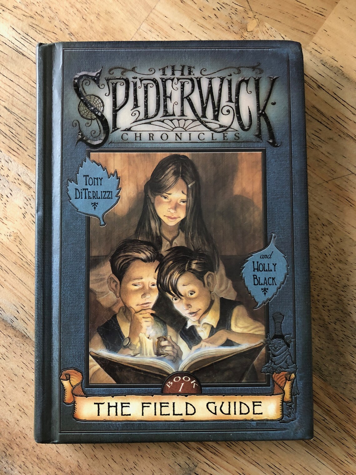 2 Book Lot The Spiderwick Chronicles First Editions Etsy