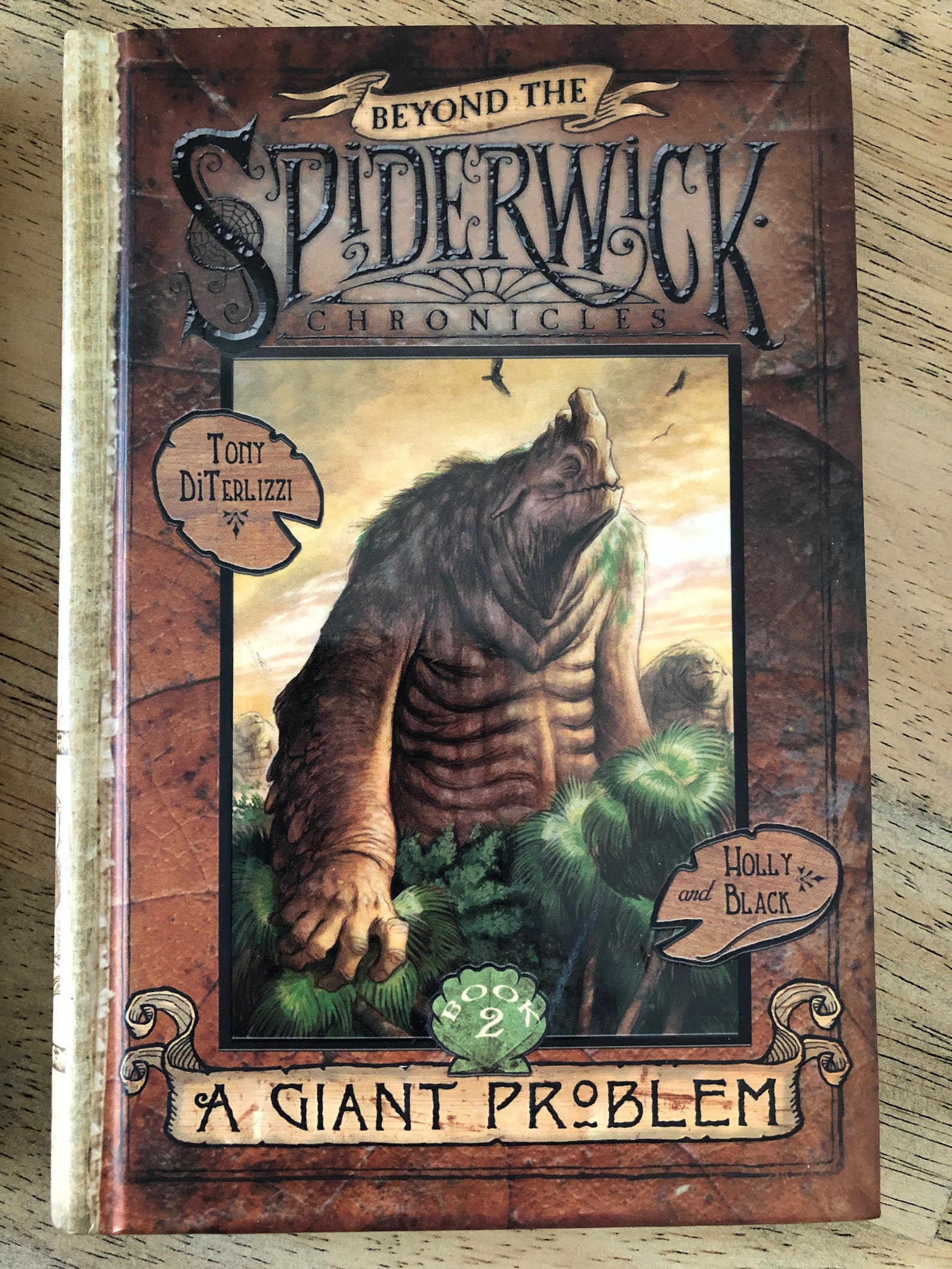 2 Book Lot The Spiderwick Chronicles First Editions Etsy