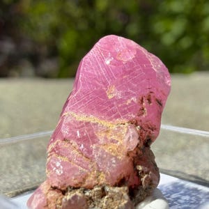 Korund var. Ruby Micromount – Luc Yen, Vietnam. UV-reactief mineraalexemplaar. Onverwarmd, onbehandeld.