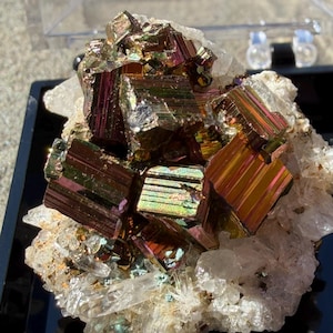 May include: A cluster of iridescent pyrite crystals with metallic gold, bronze, and purple hues, resting on a base of translucent white quartz. The mineral specimen is displayed inside a black plastic container with a clear hinged lid.