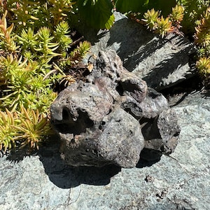 Rock Fulgurite - Large Lightning Glass, Petrified Lightning from Okanagan Valley | Natural Lightning Strike Mineral Specimen for Collectors