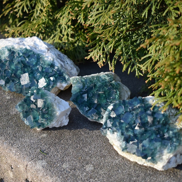 Green Fluorite Cluster Raw Cubic Specimen on Matrix Madagascar