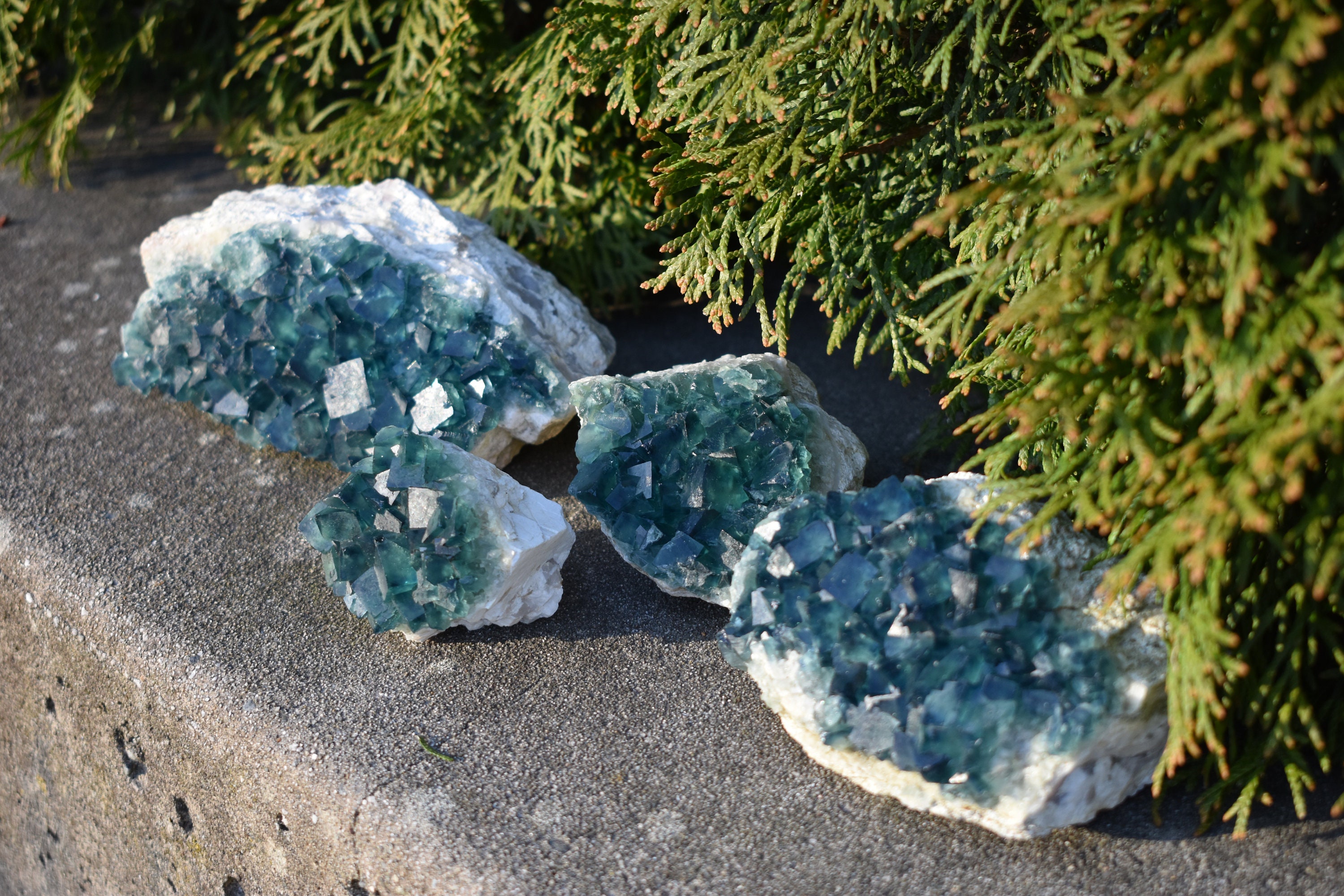 Fluorescent fluorite - Etsy 日本