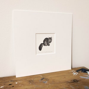 May include: A black and white illustration of a cat sitting on a white background. The cat is looking directly at the viewer. The illustration is framed in a white mat.