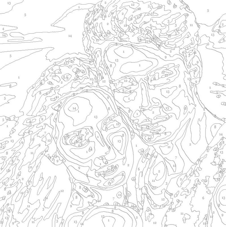 Paint by Numbers for Adults Custom Paint by Numbers Etsy