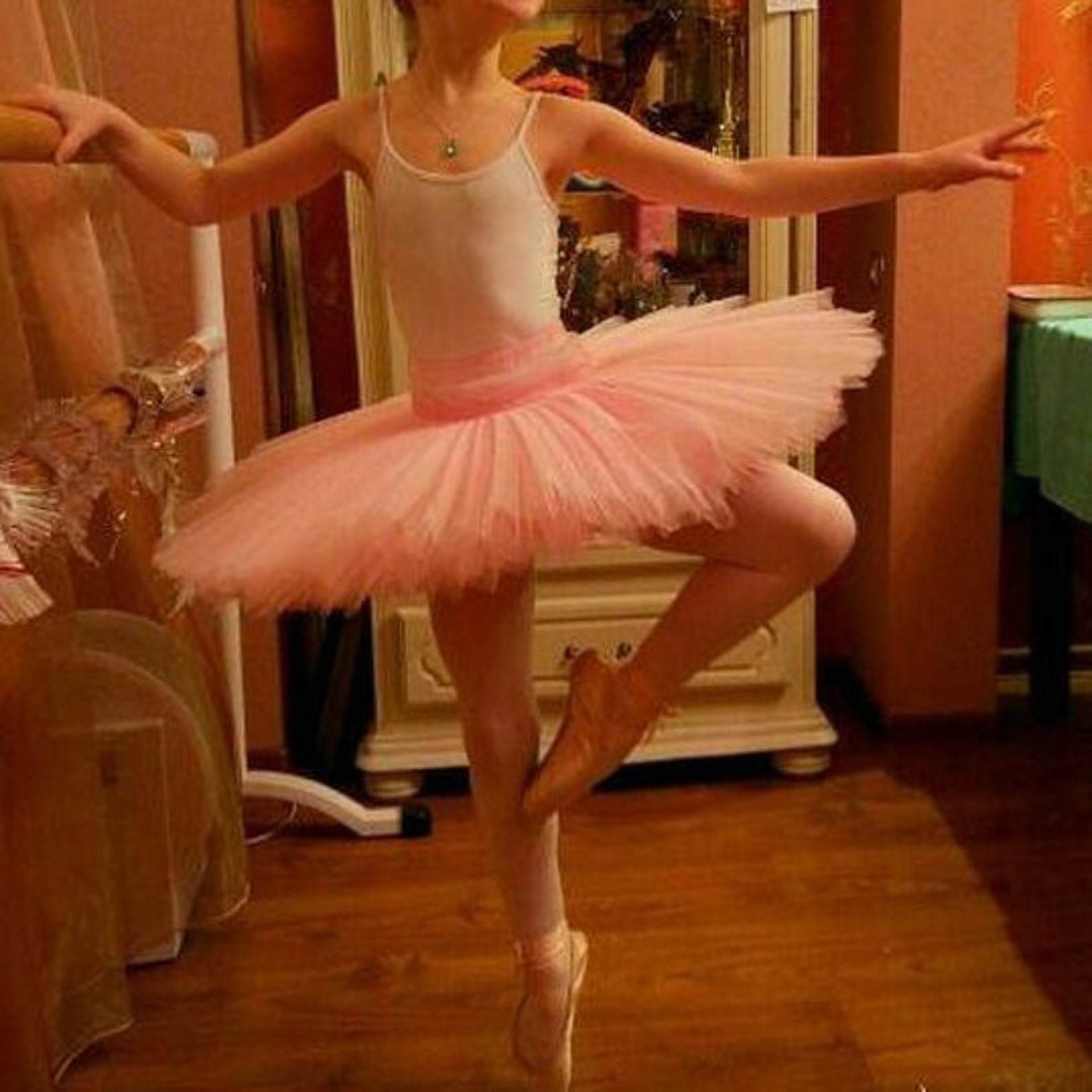 professional rehearsal ballet tutu , ballet tutu for adults
