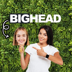 Fun Big Large Head Face cut out  Fun Party Decoration Birthday 21st 30th 40th 50th Graduation, Bachelorette Funny  Head on a stick Face fan