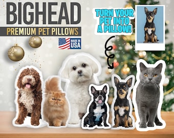 Big Head Pet Pillow 3D Picture Face Pillow I Great Gift  Children, Girlfriend, Wife, Boyfriend, Husband, Parents Custom Photo Pillow