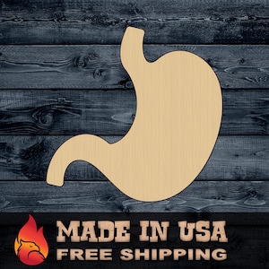 Wood Sign Cutout Stomach Anatomy Gift DIY Blank Shape Silhouette Unpainted 1/4 inch thick