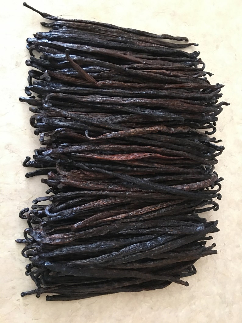 Madagascar Vanilla Beans Grade B for extract 10ea by Etsy