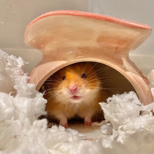 Hamster Cage BUCATSTATE Hamster Water Bottle With Holder Ceramic