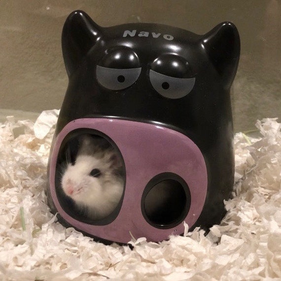 cowboy hamster