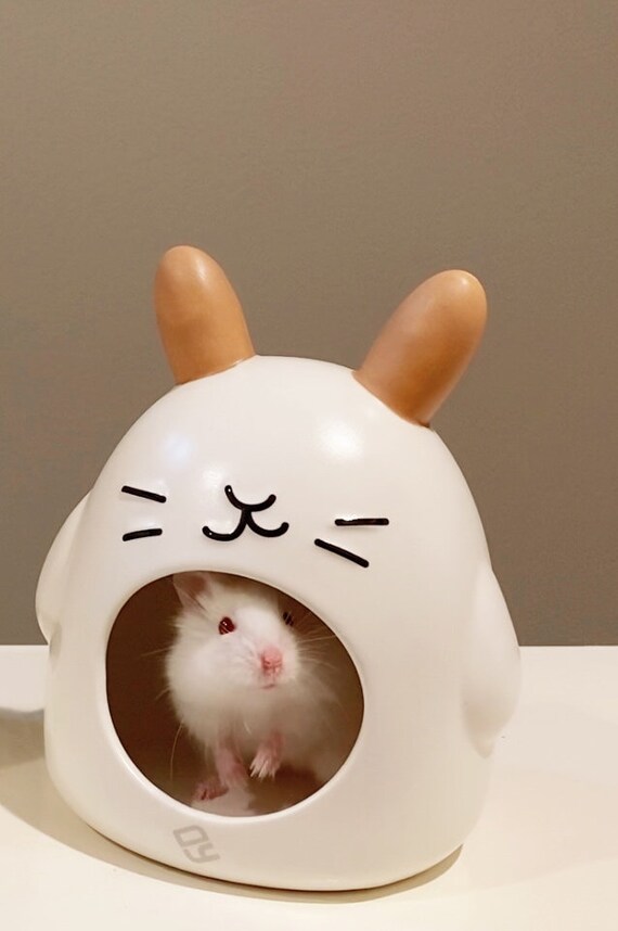 dwarf hamster hideout