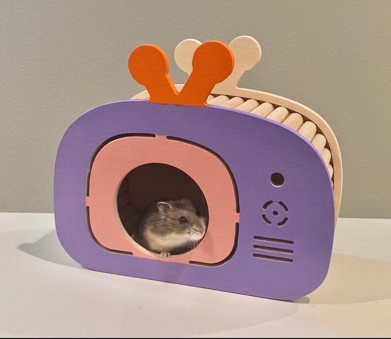 Natural Wood Colorful Hamster Hideouts Etsy