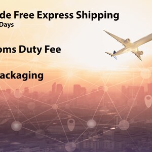 May include: An airplane flies across a sunset sky over a city skyline. The image includes the text "Worldwide Free Express Shipping", "No Customs Duty Fee", and "Sturdy Packaging". A network of connected dots and lines is overlaid on the image.