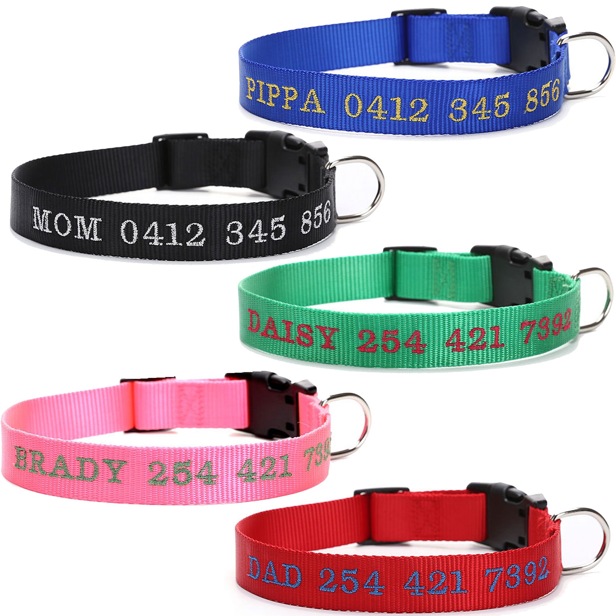 dog collar with name stitched