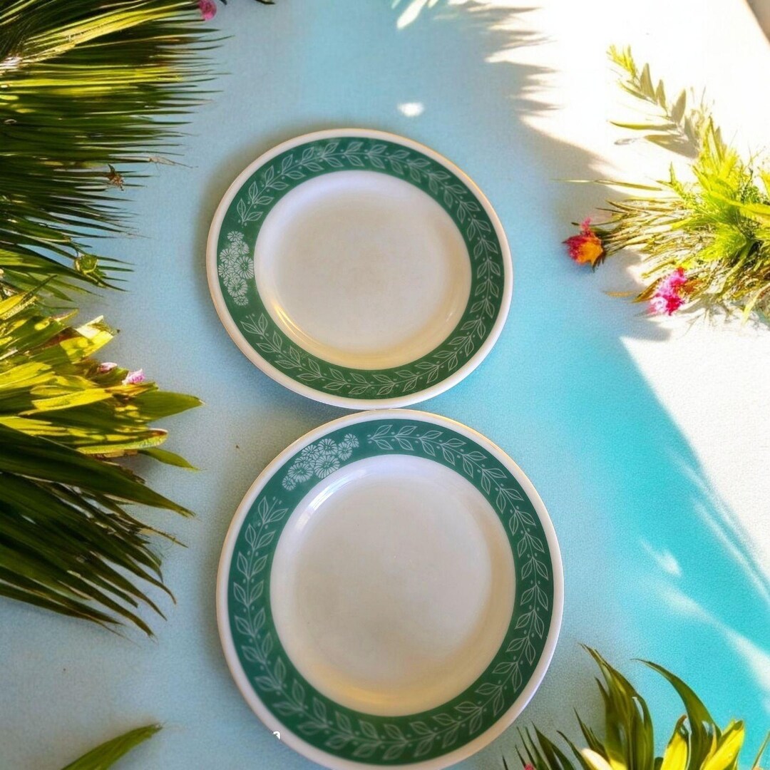 Vintage Pyrex 703-23 Laurel Rim Dinner Plates (2) Tableware Serveware ...