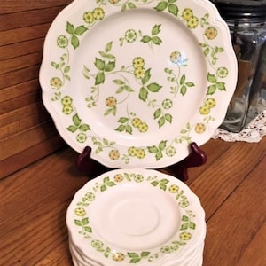 Petite Flora Ironstone Dinner Plate and (6) Coffee Cup Saucers Made in Japan 4009, Vintage Dinnerware, Cottagecore