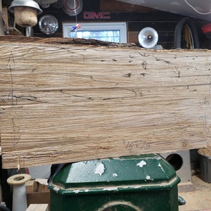 natural edge spalted maple slab