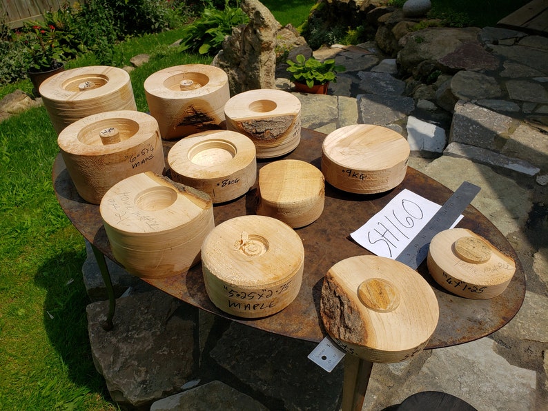 spalted maple wood blanks