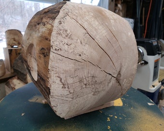 Spalted Maple Bowl Blank